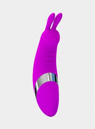 Rabbit Vibrator Small Clitoral Vibrator 10 Function Rechargeable Purple Sex Toy For Women 