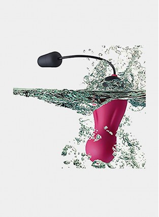 Sexy Slave Waterproof 10X Rechargeable Wireless Remote Bullet Vibrator Vibrating Egg, Rose and Black