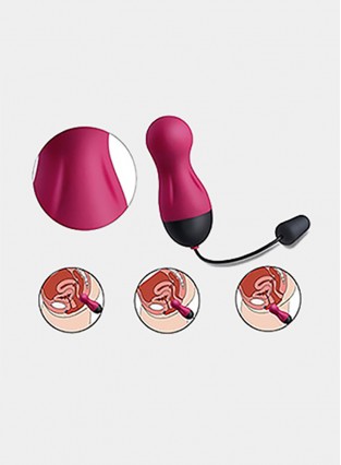 Sexy Slave Waterproof 10X Rechargeable Wireless Remote Bullet Vibrator Vibrating Egg, Rose and Black