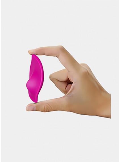 Wearable Vibrator Panties with Wireless Remote Control Clitoris Stimulation 10 Frequency Vibration Adult Sex Toy for Women